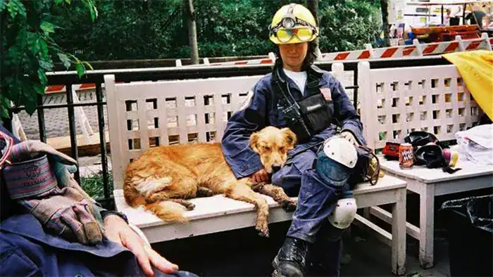 The Last Surviving 9/11 Search-And-Rescue Dog Died In Texas